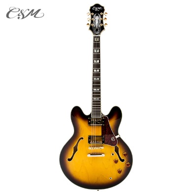 C&amp;M Hollow Body Guitar CH751-TS