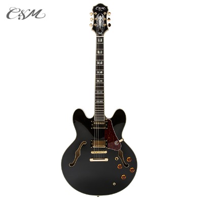 C&amp;M Hollow Body Guitar CH751-BK